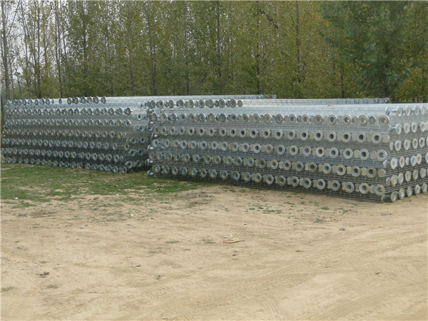 �����Ǽ�