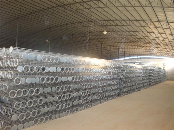 ����ֳ����Ǽ�