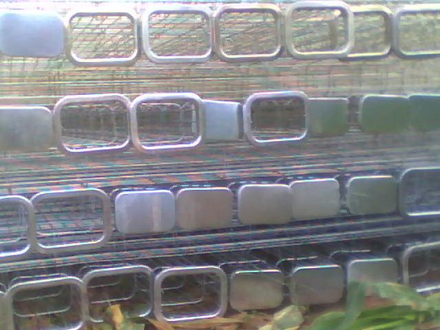 ���γ����Ǽ�