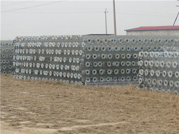 �����Ǽ�